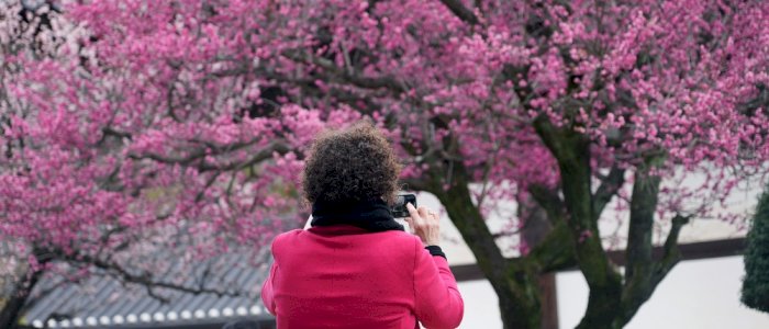 Visit NOW South Korea