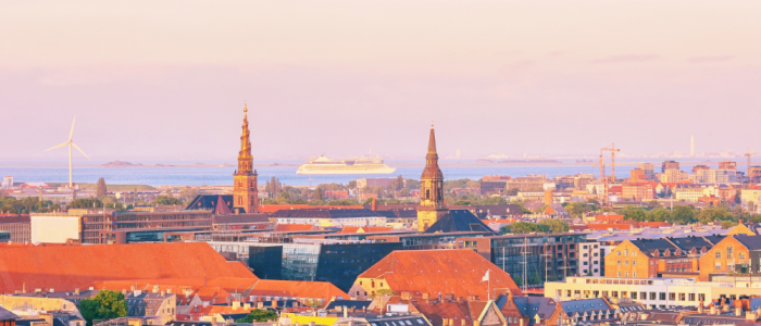 Workshop with Danish Engineering Houses