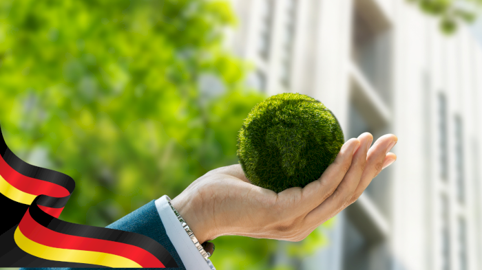 Webinar: Market update CCS & H2 Germany