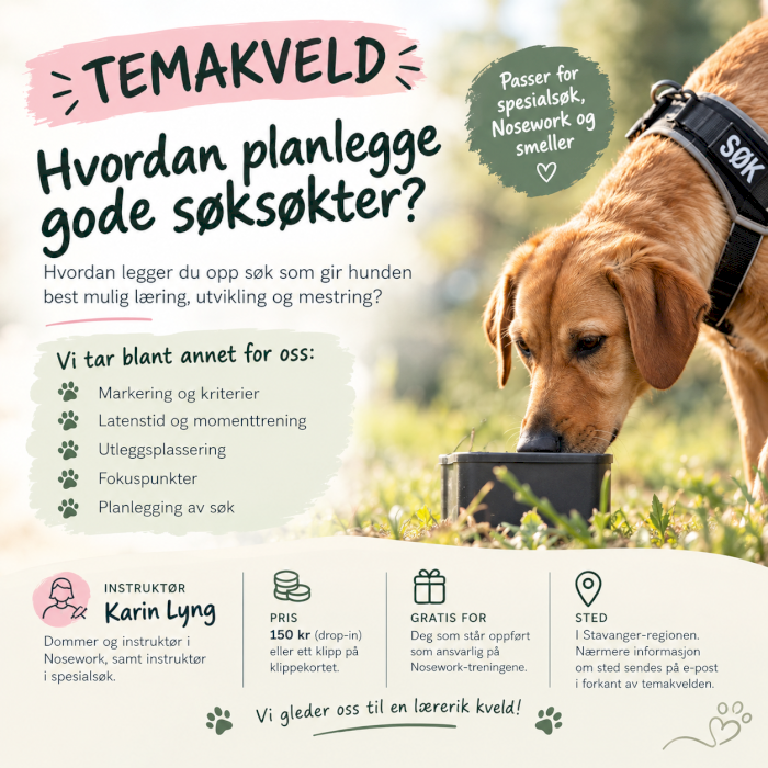 TEMAKVELD: Hvordan planlegge gode søksøkter?