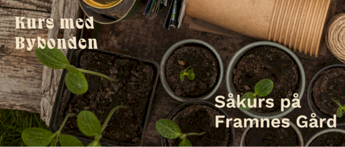 Såkurs på Framnes gård 🌱 Bybonden i Bergen