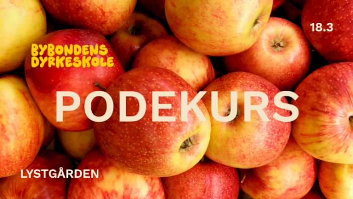 Lag dine egne frukttrær! Podekurs med Gulen Gartneri