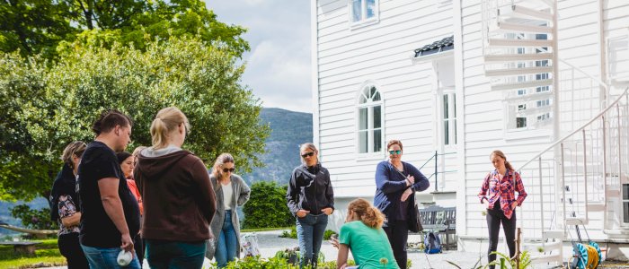 Kjøkkenhagen for nybegynner