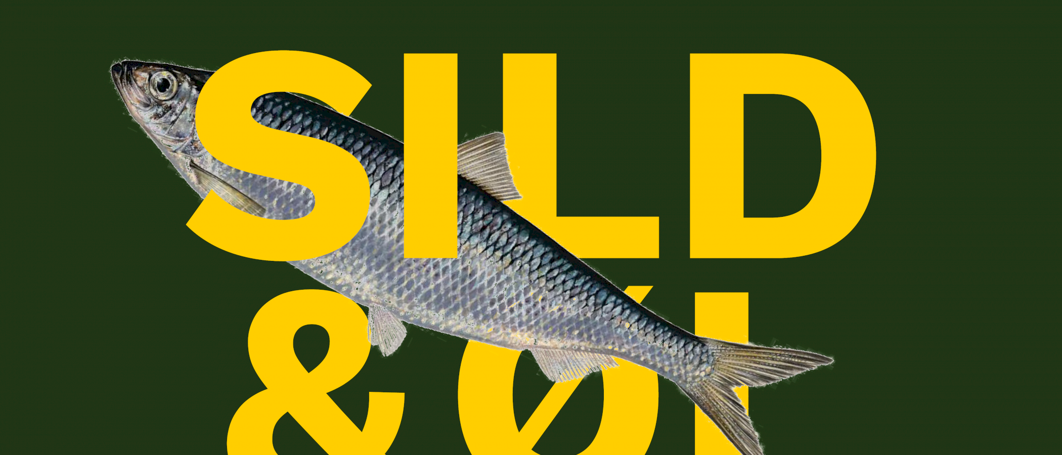 Torsdagsmiddag: Sild og øl med nabokokker!
