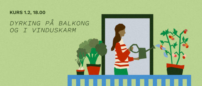 Dyrking på balkong og i vinduskarm