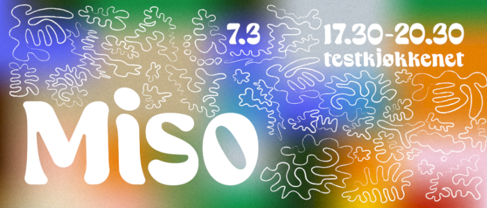 Testkjøkkenet vol.1: Miso (Peaso)