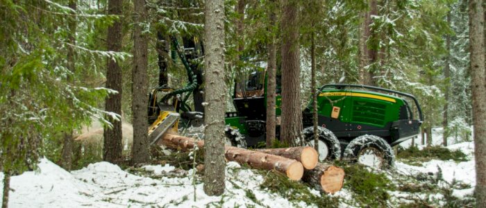 Planlegging av lukket hogst (nettkurs)