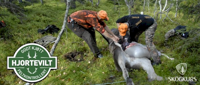 Feltkontroll av hjorteviltkjøtt Surnadal 8.mai