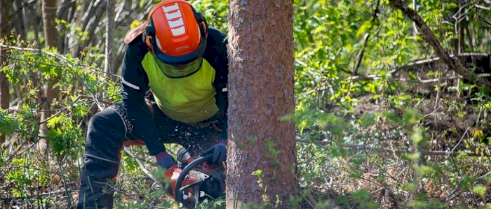 Bruk og vedlikehold av motorsag - Rakkestad 27.03.2025 (HOA)