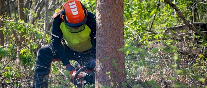 Bruk og vedlikehold av motorsag - Råde 26.05.2025 (HOA)