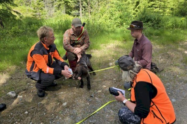 Praktisk ettersøk - 20-21 juni