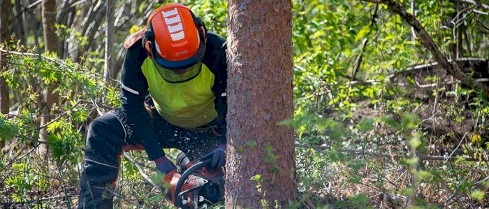 Bruk og vedlikehold av motorsag - Kragerø 26.06.2025 (PAA)