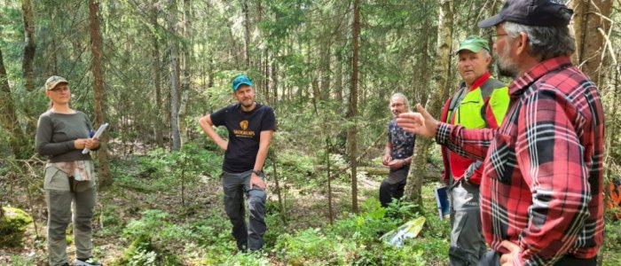 Lukkede hogstformer - Nes i Ådal 14.06.2025 (BS)