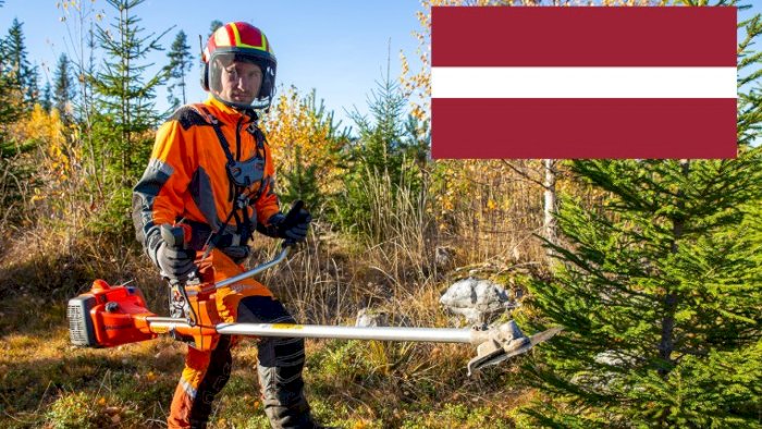 Ungskogpleie for profesjonelle (nettkurs - latvisk)
