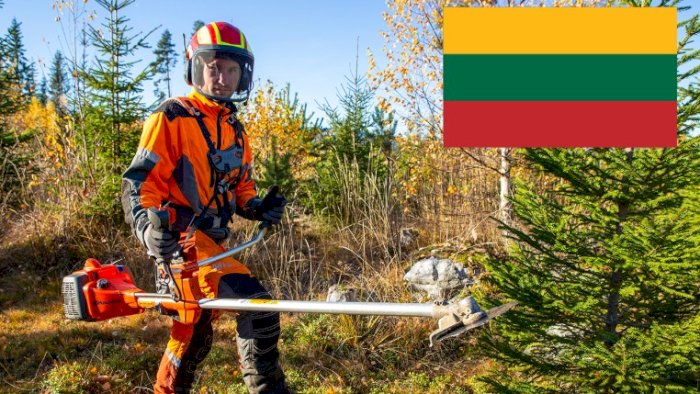 Ungskogpleie for profesjonelle (nettkurs - litauisk)