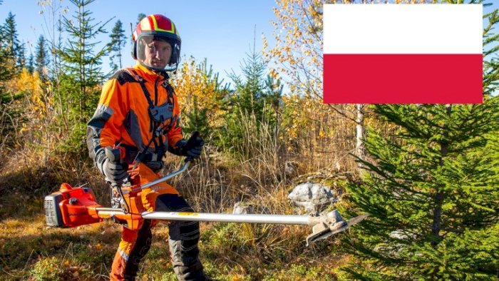 Ungskogpleie for profesjonelle (nettkurs - polsk)