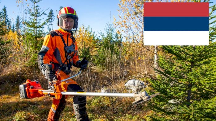 Ungskogpleie for profesjonelle (nettkurs - serbisk)