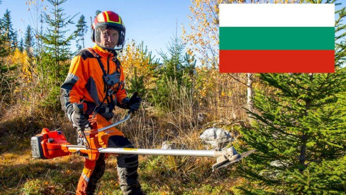 Ungskogpleie for profesjonelle (nettkurs - bulgarsk)