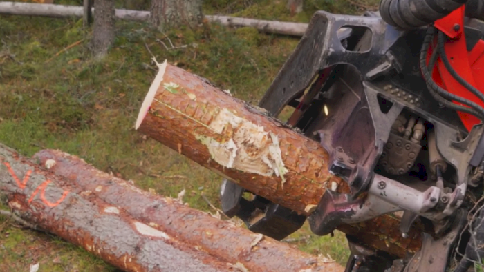 Virkesutnytting (nettkurs)