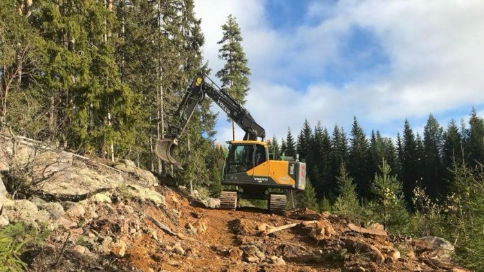 Gravemaskin i skog (nettkurs)