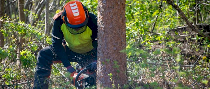 Bruk og vedlikehold av motorsag - Tønsberg 09.10.2026 (HM)