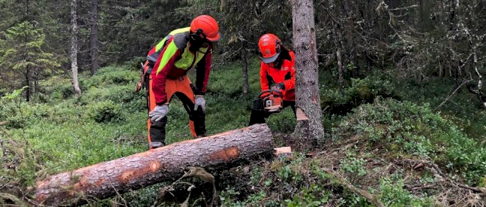 Bruk og vedlikehold av motorsag kun for damer - Vågå 25.09.2026 (JB)