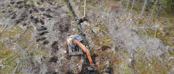 Gravemaskin i Skog - Kongsberg/Revetal 21. oktober 2026 (BLY)