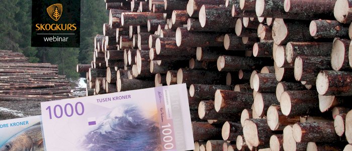 Kapitalbeskattet skogeier - beregning til skattemelding