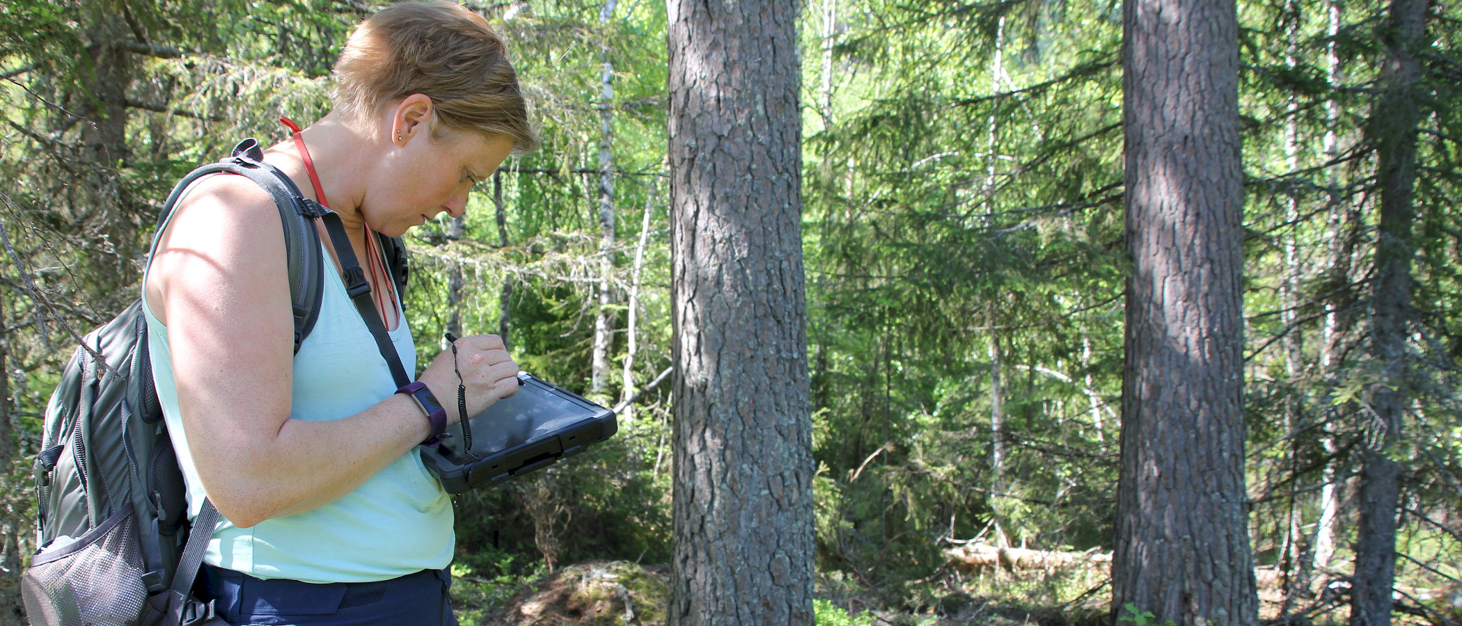 MiS med NiN – nettbasert 9.-11.06.21
