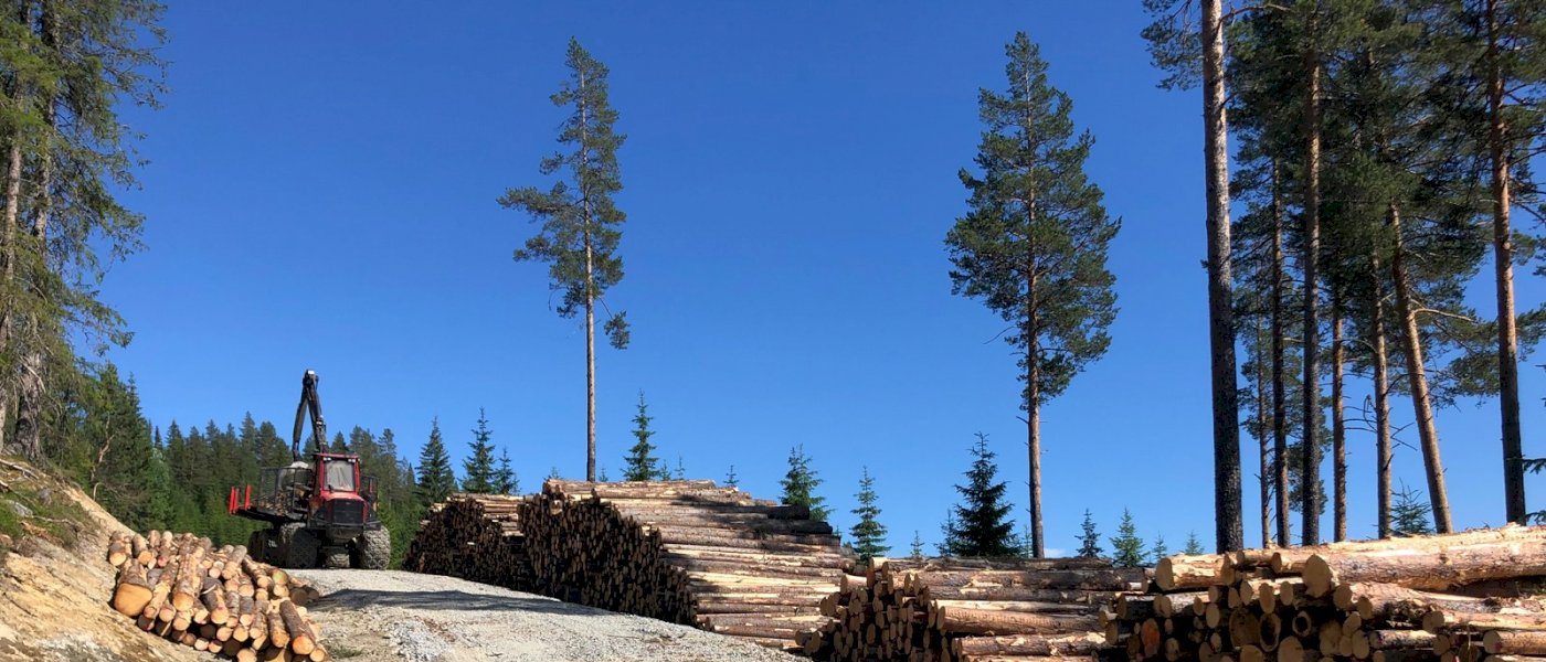 Veiøkonomi 1. og 2. desember 2021