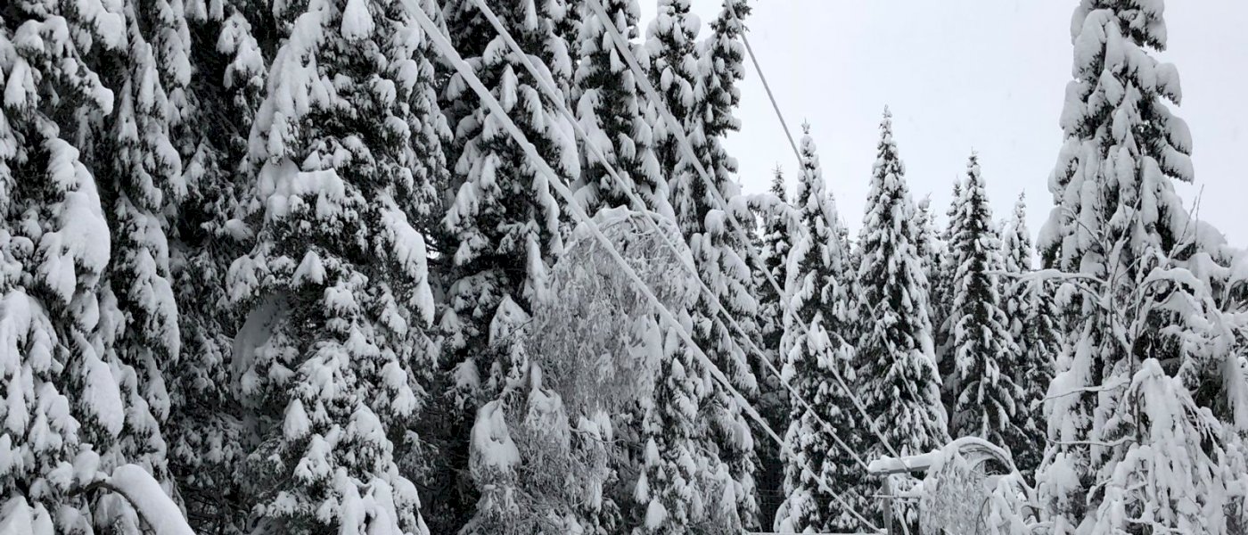 Risikovurdering av skog langs kraftlinjer - Lillehammer