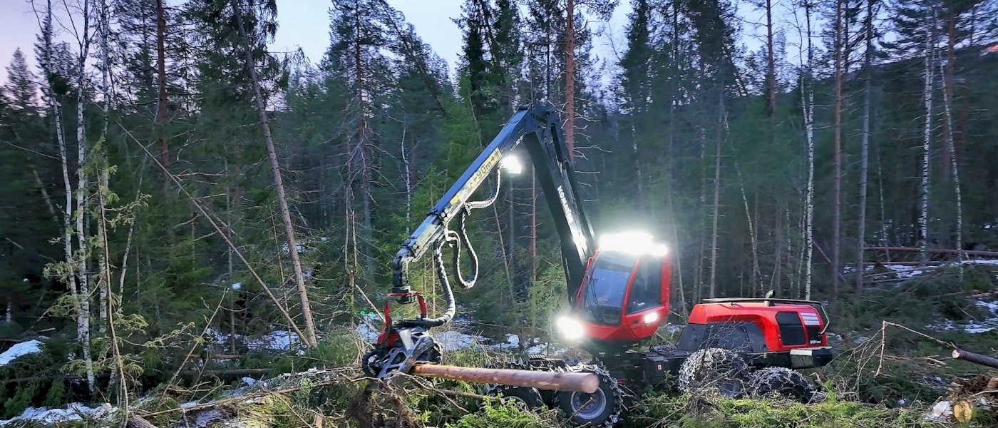 Kurs for regnskapsførere om problemstillinger rundt stormskader