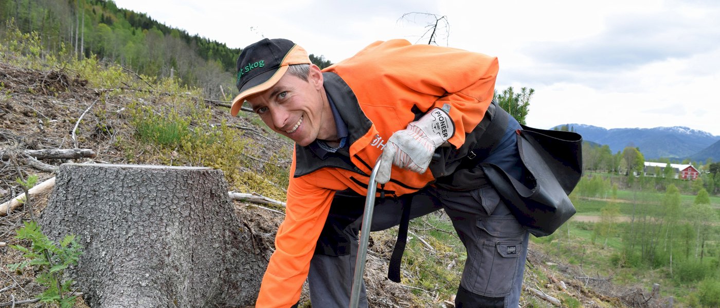 Innføring i skogplanting (nettkurs)