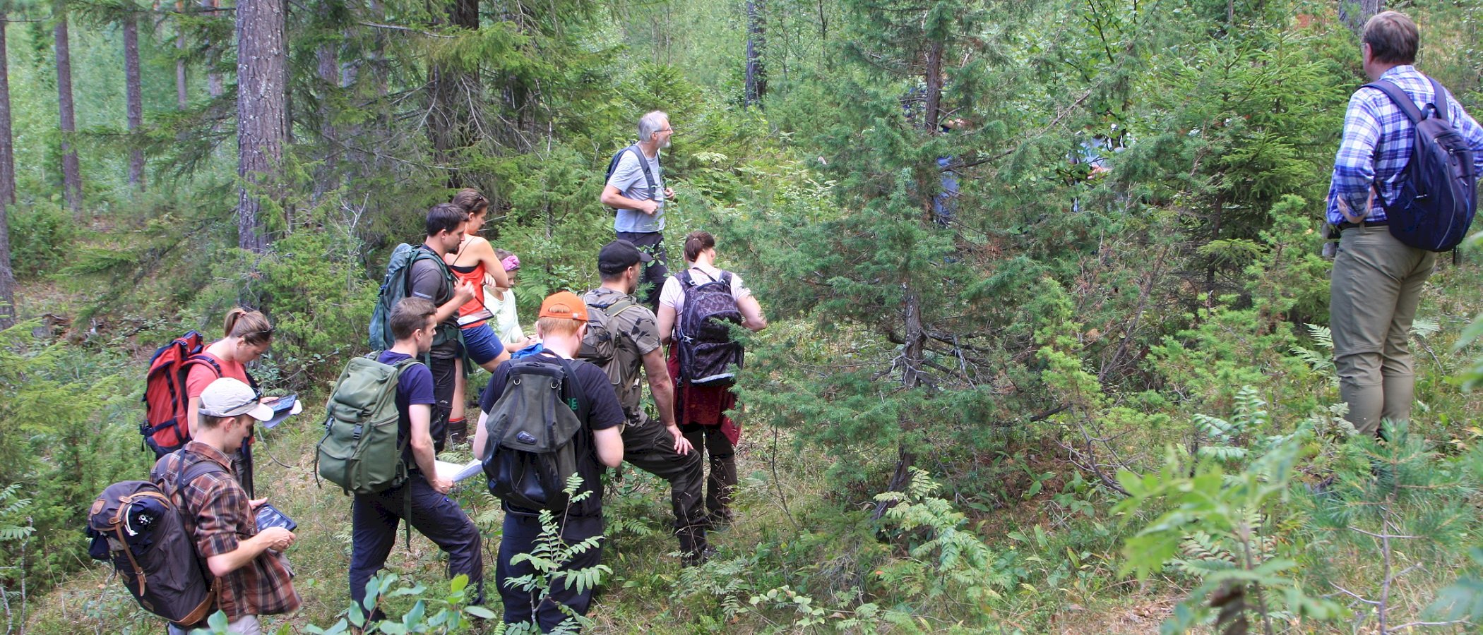 Grunntyper i NiN ved Miljøregistrering i skog