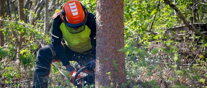 Bruk og vedlikehold av motorsag og ryddesag - Gran 21.03.2023