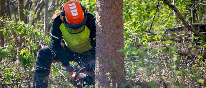 stell og vedlikehold av motorsag - Nordmøre 28.02.2023.2023 (IL)