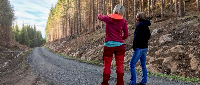 Planlegg din egen skogsdrift - Søndre Land 20.03.2024 (BS)