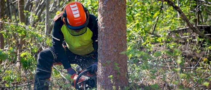 Bruk og vedlikehold av motorsag - Vik 23.10.2024 (AL)