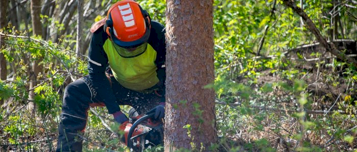 Bruk og vedlikehold av motorsag - Eigersund 11.01.2025 (PH)