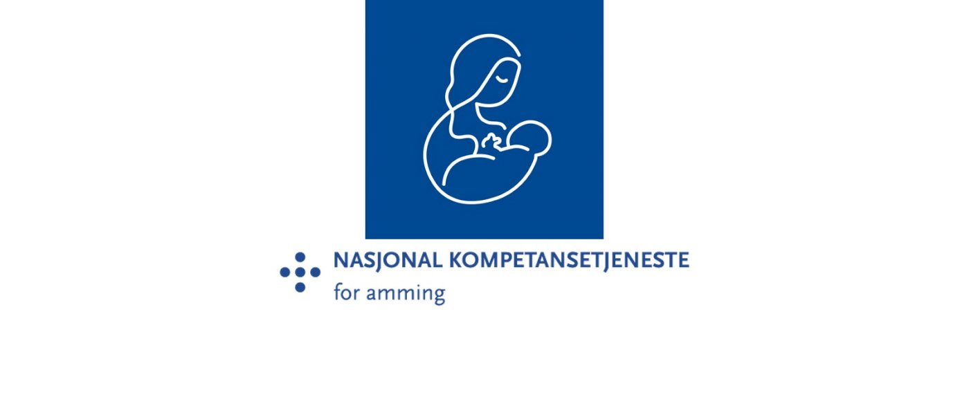 Webinar Ammeveiledning Trinn I og II