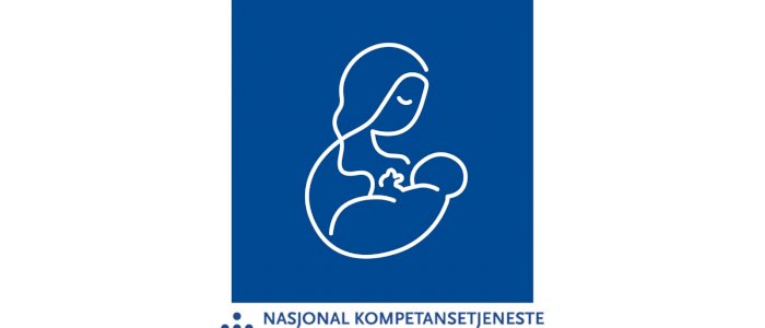 Webinar Ammeveiledning Trinn III og IV