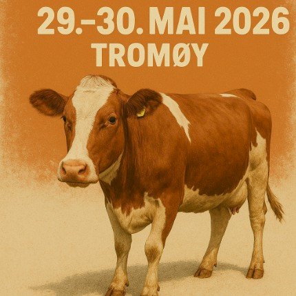 Tromøya LIVE 29-30. mai 2026