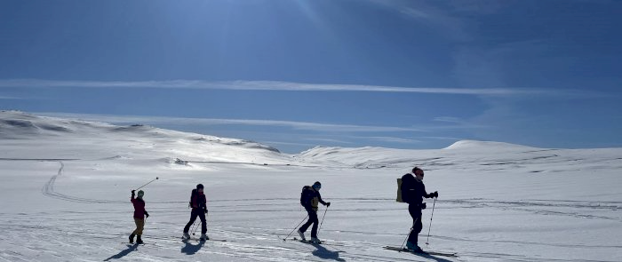 Testkurs Fjellski og langrennski - nettkurs