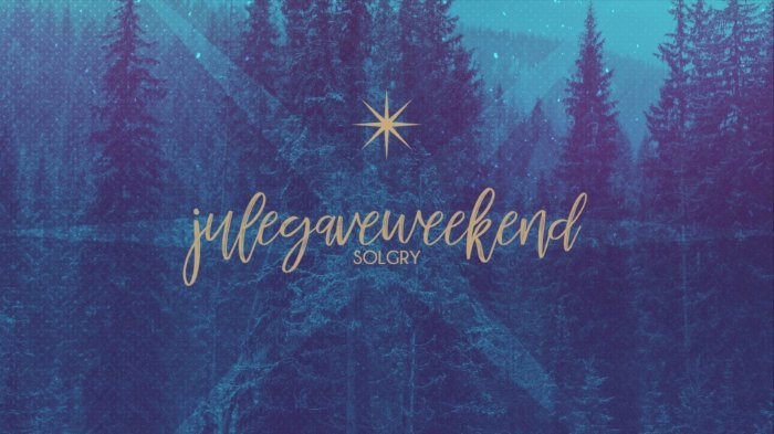 Juleleir m/juleverksted, 5-9 år m/følge, Solgry