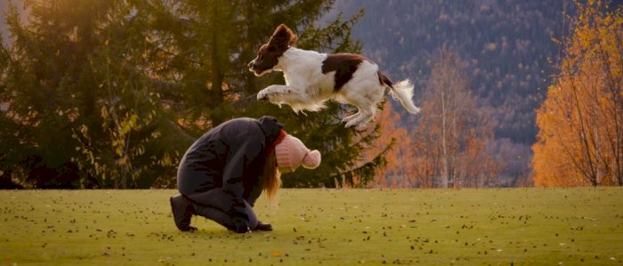 Introkurs i Kreativ Lydighet