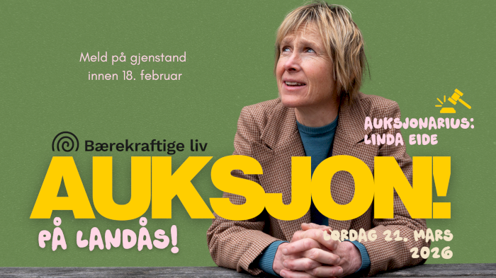 Auksjon!