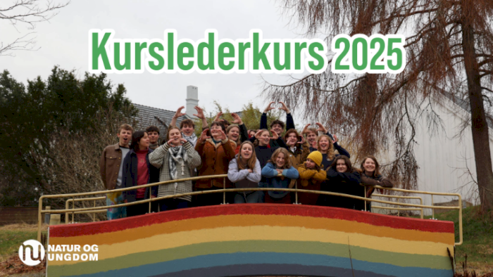 Kurslederkurs 2025