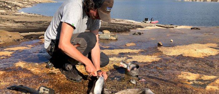Fisketur til Svartevassmagasinet, ettermiddag 21.juli