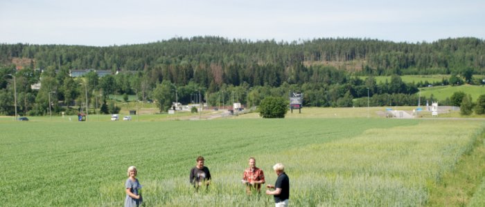 Nordic Cereal Conference Heritage Grains