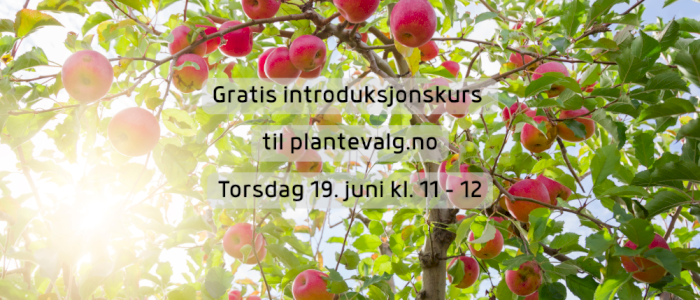 Gratis introduksjon til Plantevalg